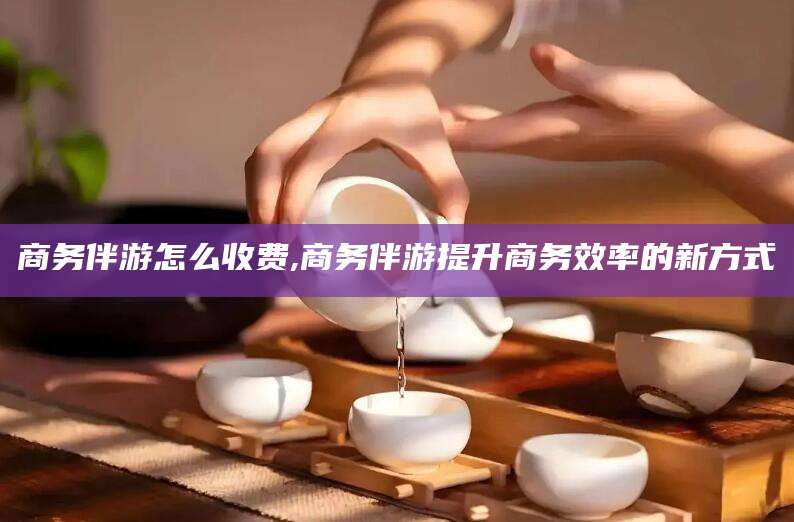 林芝商务伴游怎么收费,商务伴游提升商务效率的新方式